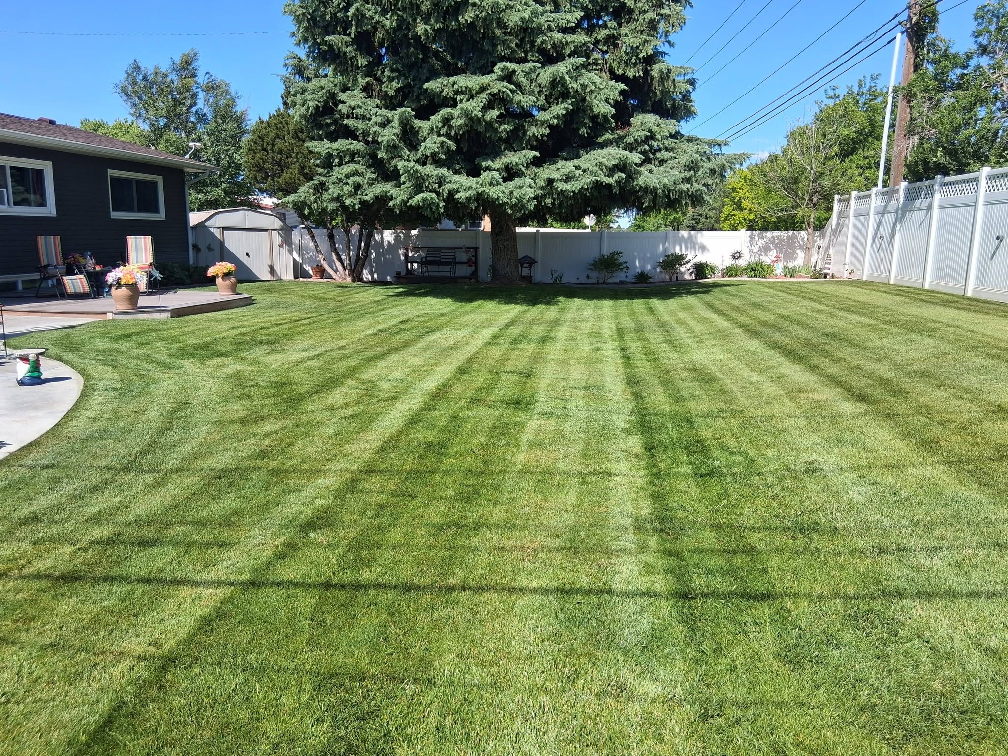 Fresh residential sod installation